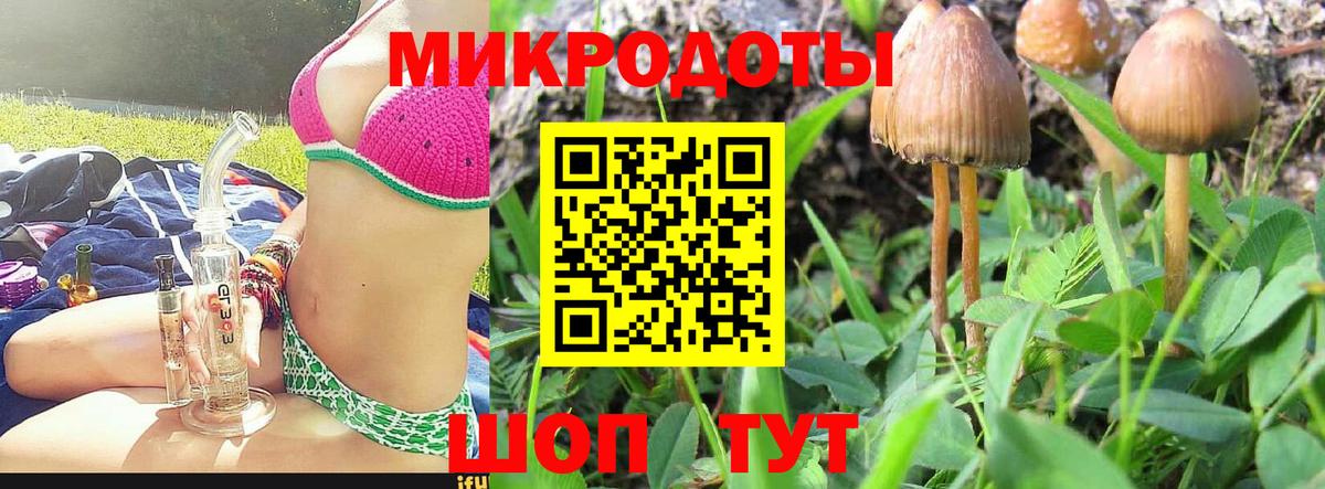 Усть-Лабинск  Псилоцибиновые грибы Cubensis  Вход с VPN  Псилоцибиновые грибы Psilocybine cubensis 